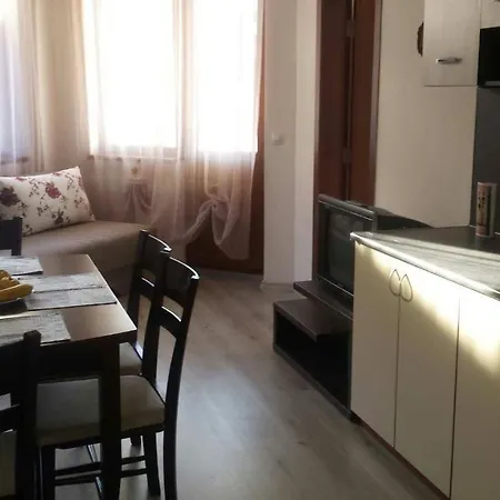 Gurovitsa Apartment